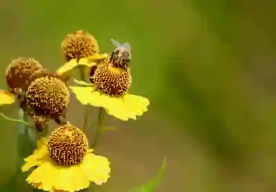 카카오톡 이모티콘 플러스 해지 및 환불 방법 알아보자