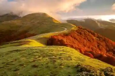 무료 PPT 템플릿 사이트 활용법 알아보자