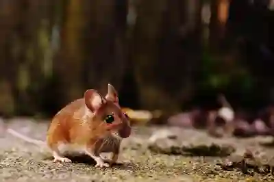 로지텍 MX Master 2S와 MX Anywhere 2S의 인기 이유 살펴보기