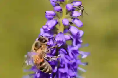 빈폴 AS 고객센터에서 수선하는 방법과 비용에 대해 알아보자
