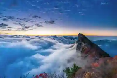 픽디자인 에브리데이 백팩의 매력 살펴보기