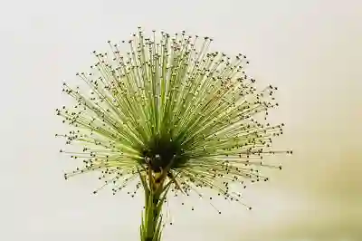 토익스피킹 점수 보장을 위한 4가지 효과적인 전략 알아보자