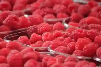 그랜저 모델별 가격과 성능 비교 방법 알아보자