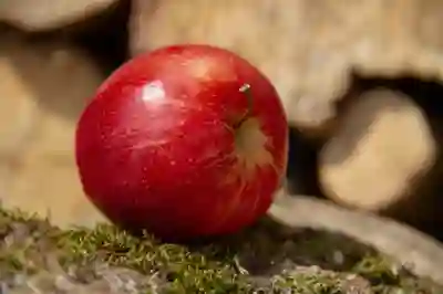부산 기장군 논술학원에서 합격하는 4가지 전략 알아보자