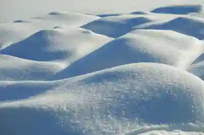 비중격만곡증 수술 비용과 보험 적용 알아보자