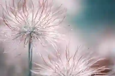 삼척 장례식장 이용을 위한 필수 정보 알아보자