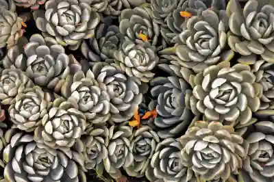 안산에서 출장 포함 건강검진 찾는 4가지 꿀팁