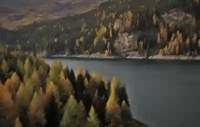 울산중구 혈액투석 최우수 병원 알아보자