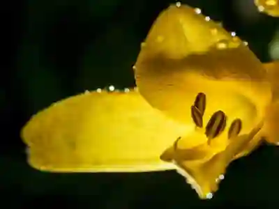 의료사고와 감염성 관절병증 예방을 위한 4가지 방법 알아보자