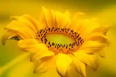 쿠팡 고객센터 전화번호와 서비스센터 알아보자