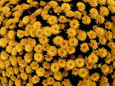 태안 요양병원 선택 시 고려해야 할 4가지 요소