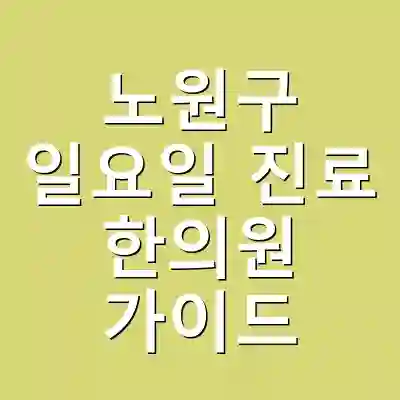 노원구 일요일 진료 한의원 가이드