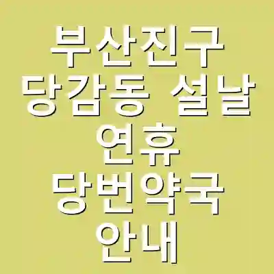 부산진구 당감동 설날 연휴 당번약국 안내